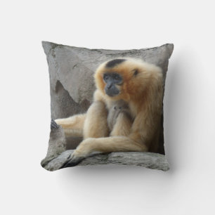 Foto von Orange und Black Gibbon Entspannen auf de Kissen