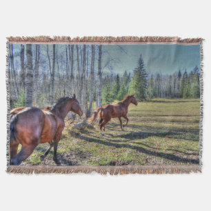 Foto von Pferdeherden auf einer BC-Ranch 3 Decke
