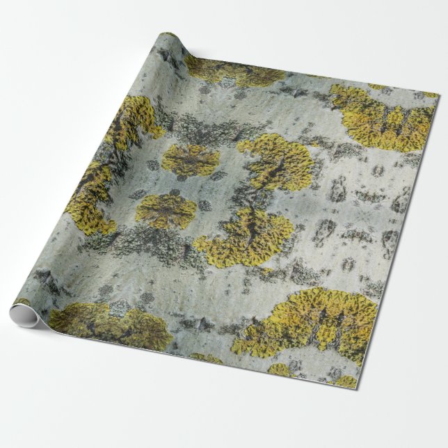 Foto von Real Aspen Tree Bark - Natural Amulet Geschenkpapier (Ungerollt)