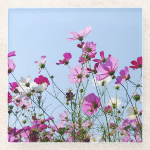 Foto von rosa und violetter Blumenwiese Glasuntersetzer