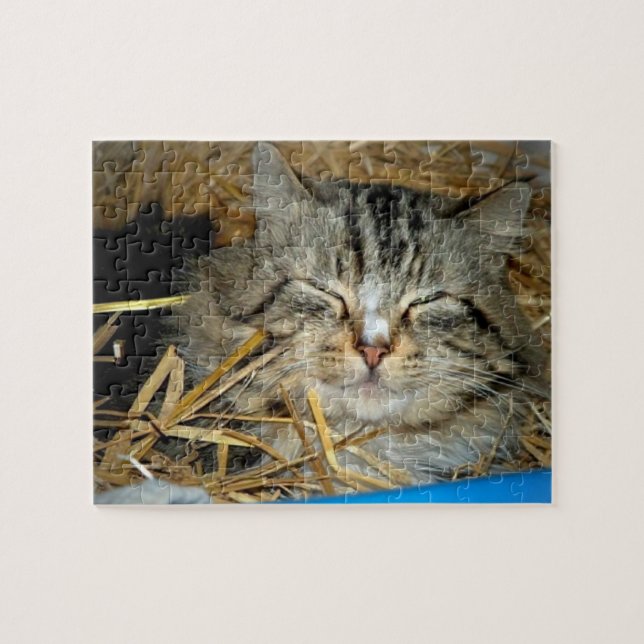 Foto von schlafender Katze (Horizontal)