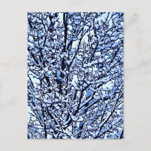 Foto von schneebedeckten Winterbaumzweigen Postkarte