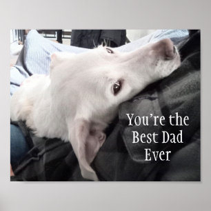 Foto von süßem Hund Bester Vater überhaupt Poster