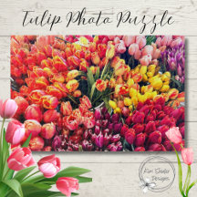 Foto von Tulipen in rosa, gelb, orange und Lila