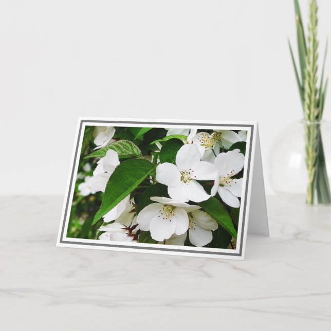 Foto von Weißkirschblüten mit grünen Blättern Karte (Vorderseite)