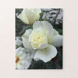 Foto von White Rose Garden