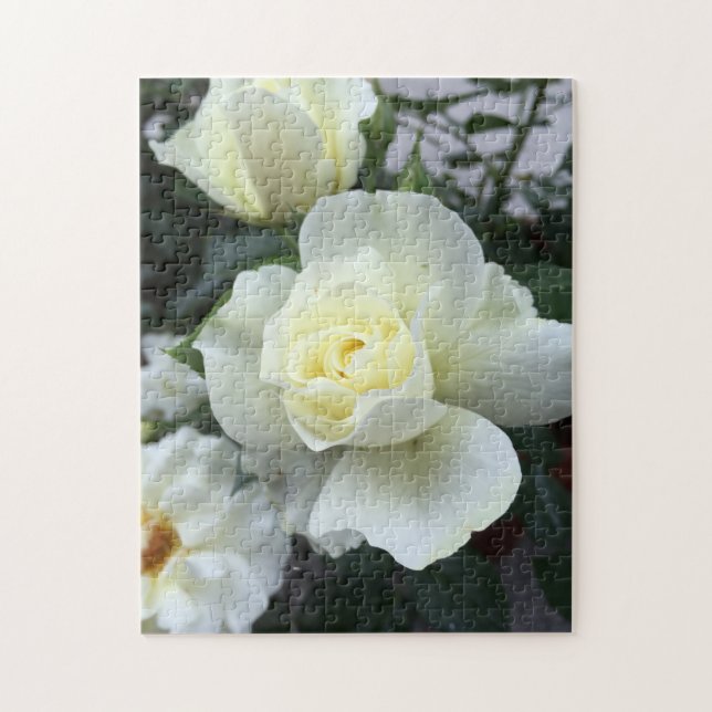 Foto von White Rose Garden (Vertikal)
