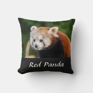 Foto von wildem Roten Panda in der Natur Kissen