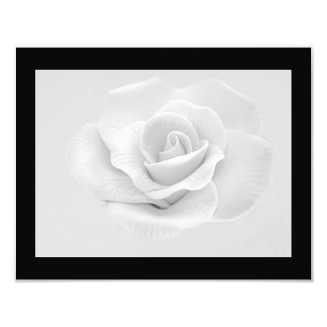 Foto "White Rose" (Vorne)