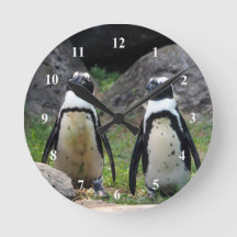 Foto Wildlife Pinguin Pair