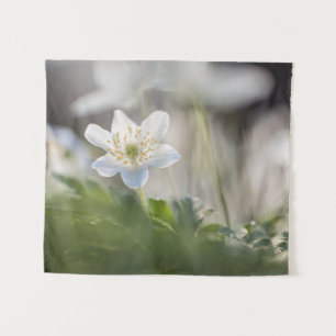 Foto Windblume Wandteppich