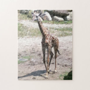 Foto Young Giraffe Walking Jigsaw Puzzles