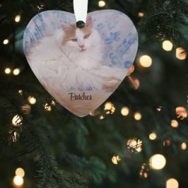 Foto, Zitat, Blue Pawprint, Name und Jahre Ornament