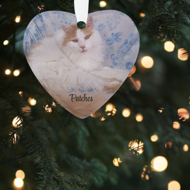 Foto, Zitat, Blue Pawprint, Name und Jahre Ornament (Von Creator hochgeladen)