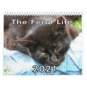 Foto zum Leben von Wildkatzen Kalender