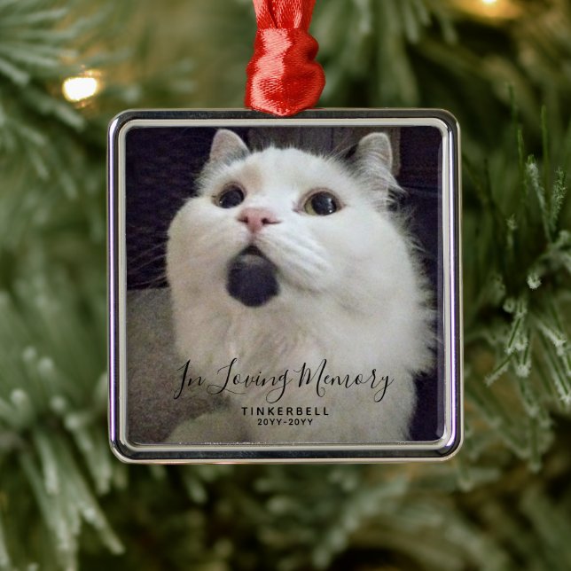 Foto zur Erinnerung von Begleitern im Personalisie Ornament Aus Metall (Baum)