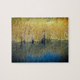 Foto zur Reflektion des Lake Grass mit blauem Wass