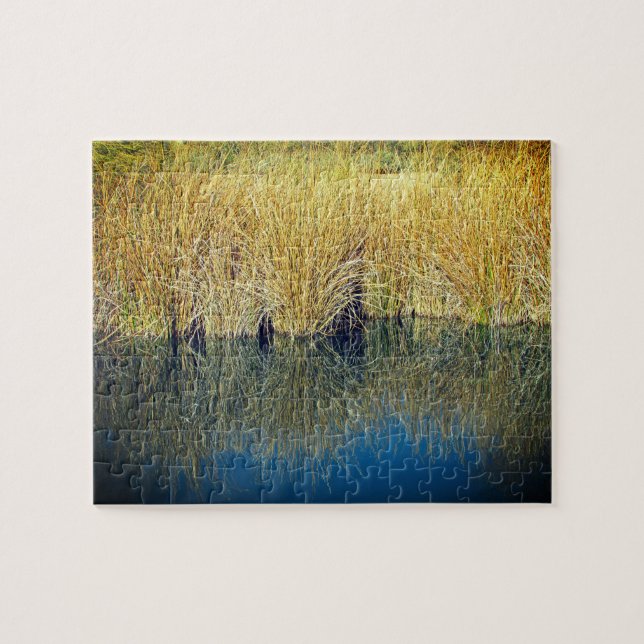 Foto zur Reflektion des Lake Grass mit blauem Wass (Horizontal)