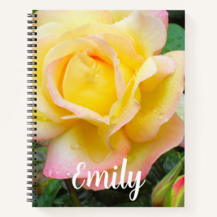 Foto zur Rose des Friedens Notizbuch