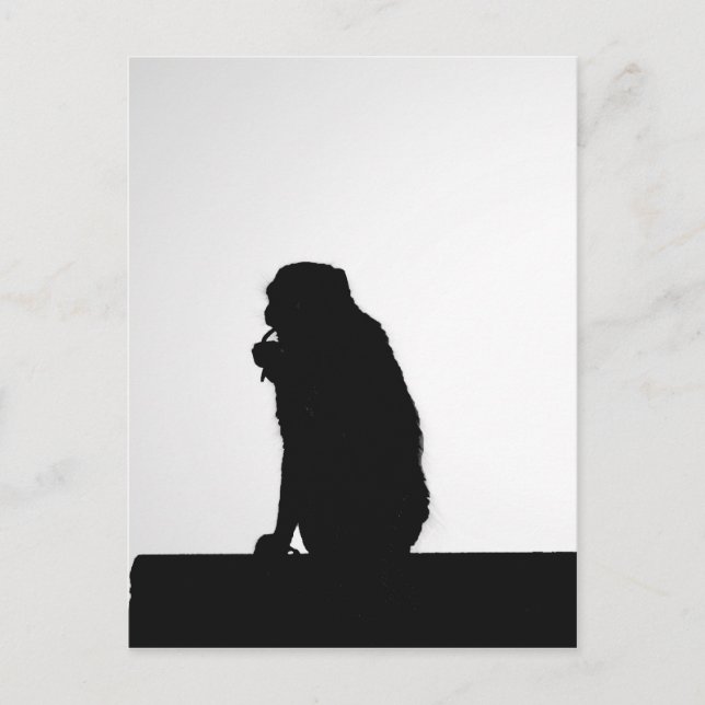 Foto zur Silhouette von Affen Postkarte (Vorderseite)