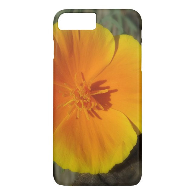 Foto zur Summertime-Blume Case-Mate iPhone Hülle (Rückseite)