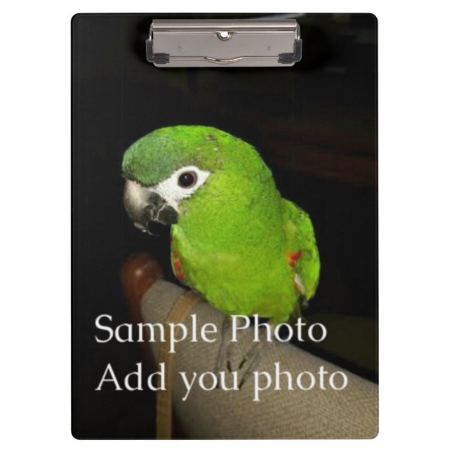 Foto-Zwischenplatine (auf beiden Seiten) Klemmbrett (Vorderseite)