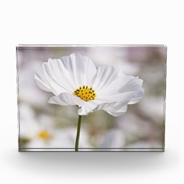 Fotoblock. Fotoblock (Vorderseite)