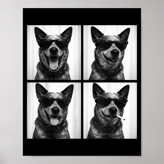 Fotobooth Australian Cattle Dog Lustiger Hund Self Poster (Vorne)