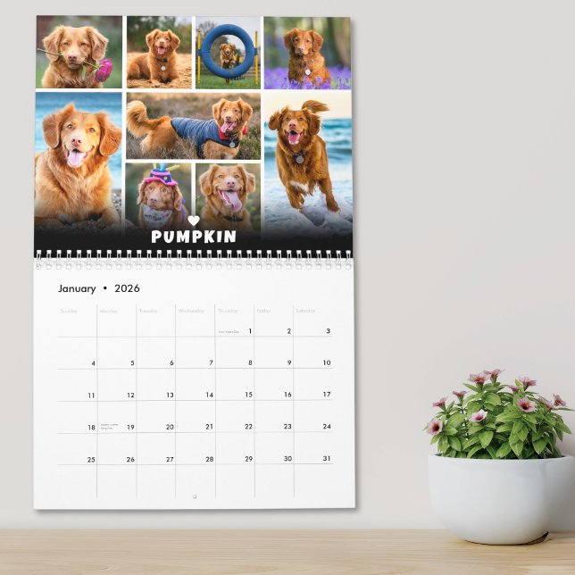 Fotocollage für Hunde Kalender (Pet Dog Photo Collage Calendar)