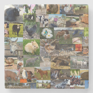 FotoCollage, Steinuntersetzer