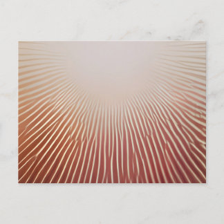 Fotodrucke Einladungspostkarte