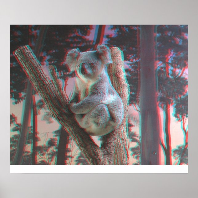 Fotogene Koala-Posen für die Kamera in 3D Poster (Vorne)