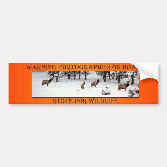 Fotograf-an Bord Elch-Orangen-Autoaufkleber Autoaufkleber (Vorne)