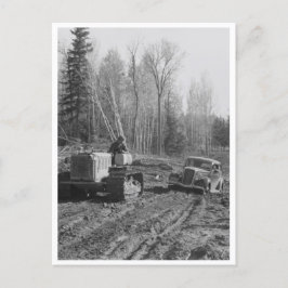 Fotograf, der aus dem Schlamm gezogen wird Postkarte