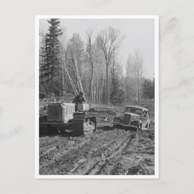 Fotograf, der aus dem Schlamm gezogen wird Postkarte (Vorderseite)