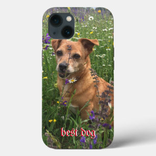 Fotograf-Telefonabdeckung Case-Mate iPhone Hülle