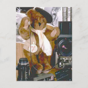 Fotografenbär - Pressereferent Postkarte