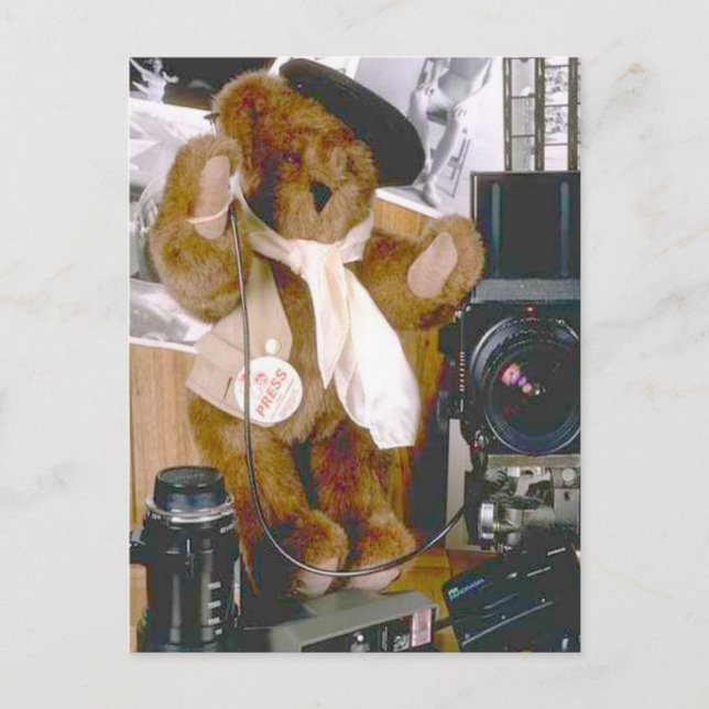 Fotografenbär - Pressereferent Postkarte (Vorderseite)