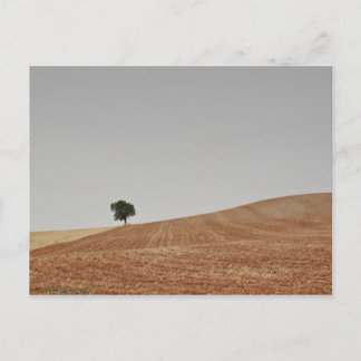 fotografias del Camino de santiago Postkarte