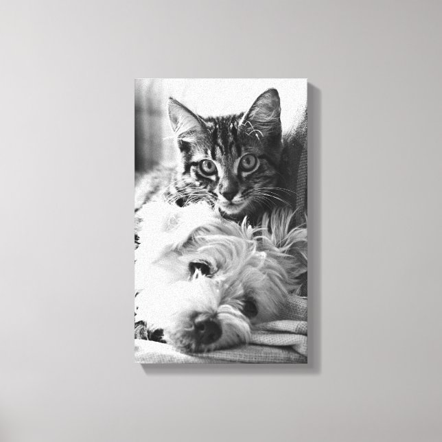 Fotografie Best of Friends Leinwanddruck (Vorderseite)