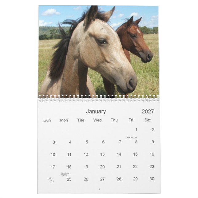 Fotografie der Pferde Kalender (Jan 2027)