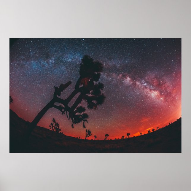 FOTOGRAFIE DER SILHOUETTE POSTER (Vorne)