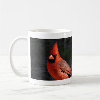 Fotografie des Roten Kardinals Kaffeetasse