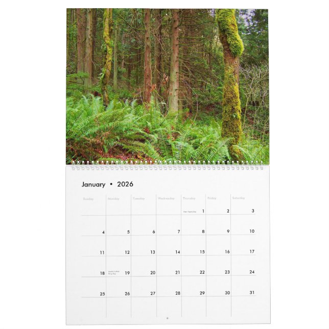 Fotografie durch Kalender Chris 2011 (Jan 2026)