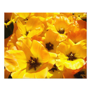 Fotografie Kunst Drucke Gelbe Tulpen Blumen Floral