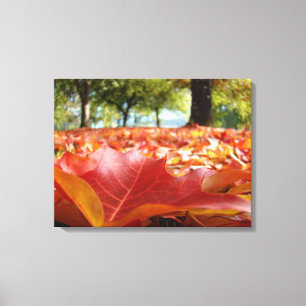 Fotografie Natur Wall Art Decke Herbstlaub Rot Leinwanddruck