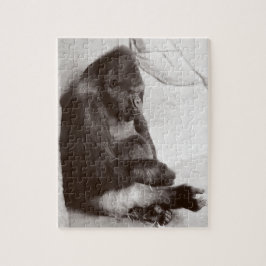 Fotografie SchlafGorilla