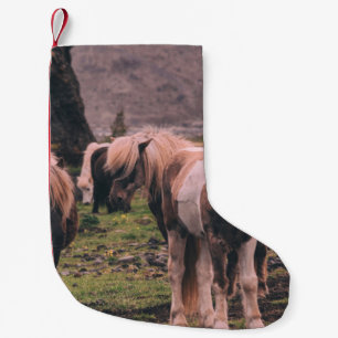 FOTOGRAFIE VON PFERDEN MIT GERINGER SCHÄRFENTIEFE KLEINER WEIHNACHTSSTRUMPF