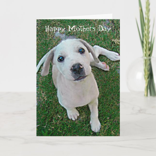Fotografie weißer Welpenhund Happy Mütter Tag Karte (Vorderseite)