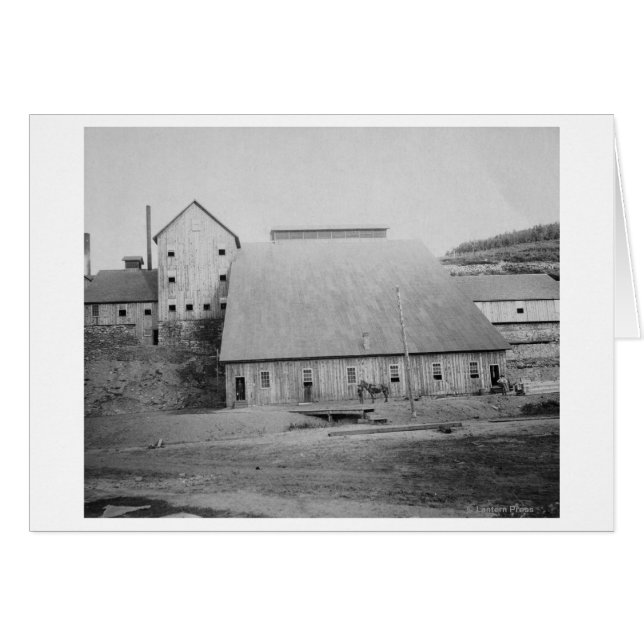 Fotografie zur Reduzierung von Todesholz (Vorderseite (Horizontal))